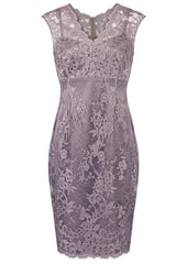 Elegant V Neck Sheath Short Lace Mother of the Bride Dress