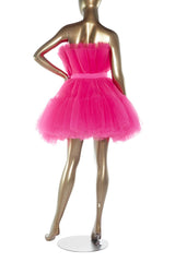 Hot Pink A-line Short Tulle Party Dress