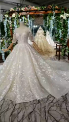 Luxury Lace Wedding Dresses Scoop Half Sleeves Appliques Ball Gown