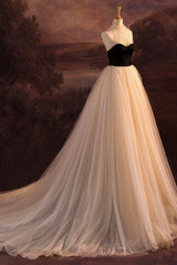 Elegant Tulle Long A-Line Prom Dress, Evening Party Dress